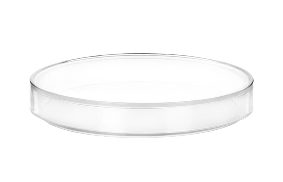 Eisco Labs Polypropylene Plastic Petri Dish, 6″ Diameter, 0.75″ Depth