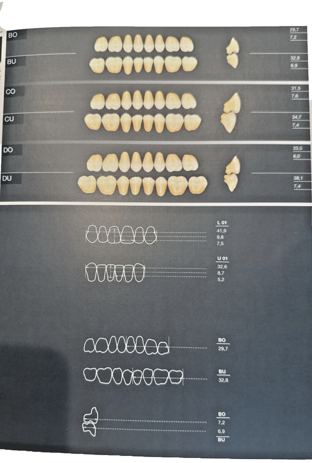 DENTURE TEETH KULZER BASIC6 & BASIC8 Set Germany made.