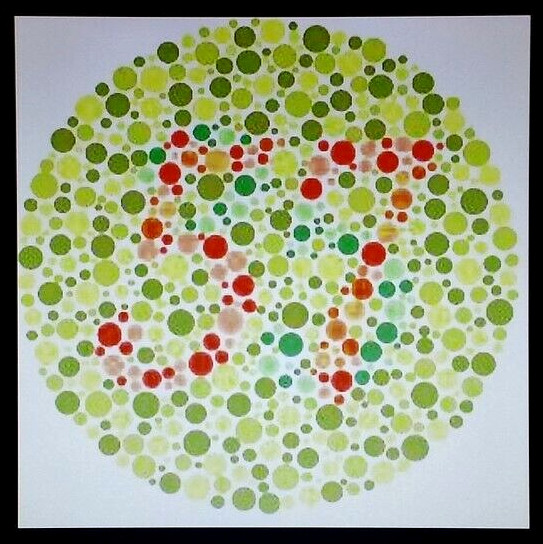 SNELLEN EYE CHART / DIGITAL VISUAL ACUITY SYSTEM made in the USA