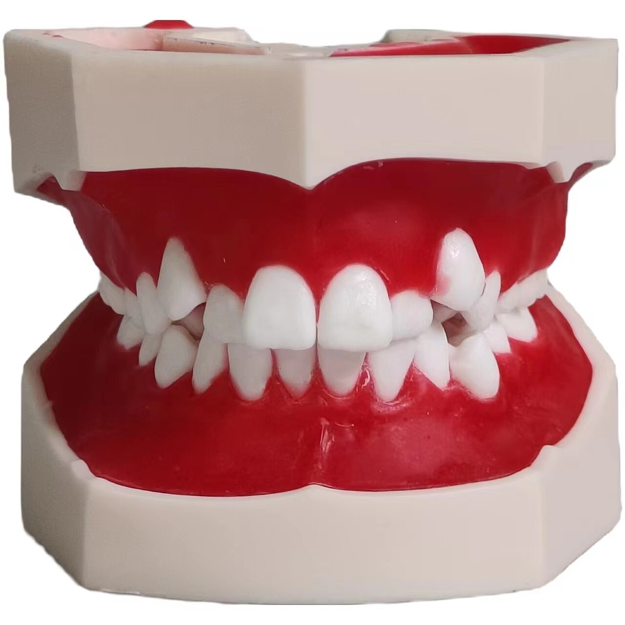 New Reusable Dental Practical Training Model/typodont/orthodontics Wax Model