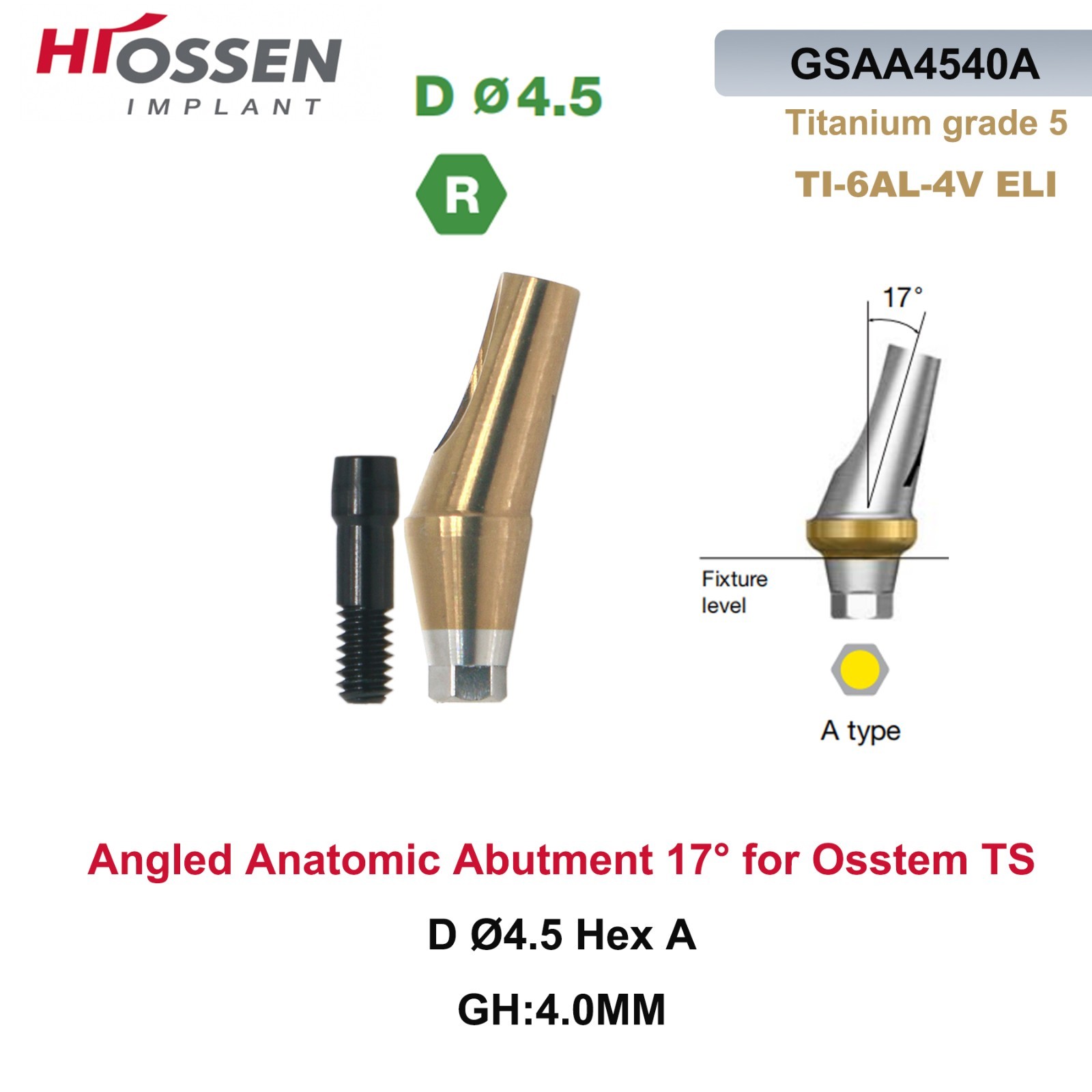Dental Anatomic Angulated Abutment 17° Osstem TS / Hiossen ET Regular Platform