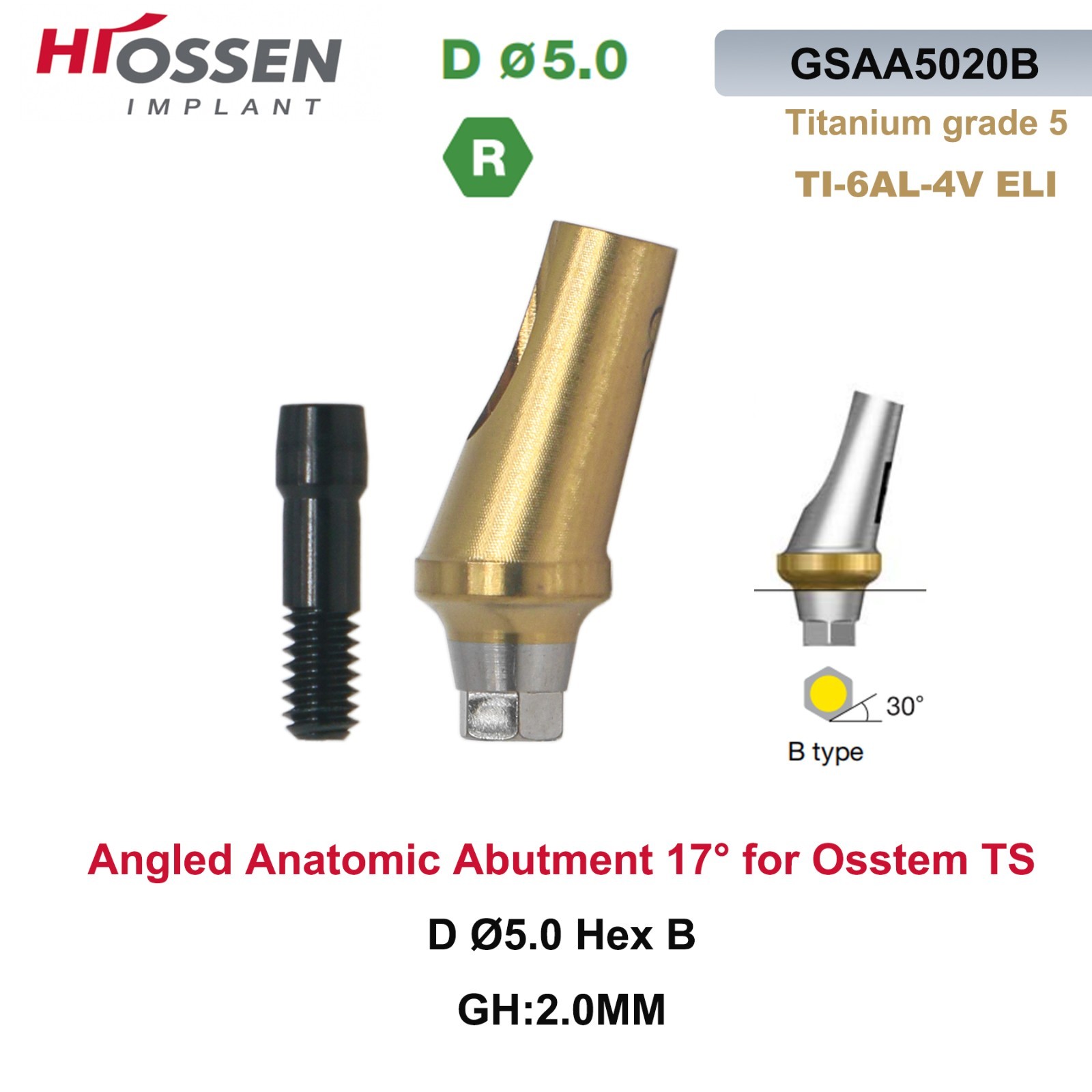 Dental Anatomic Angulated Abutment 17° Osstem TS / Hiossen ET Regular Platform