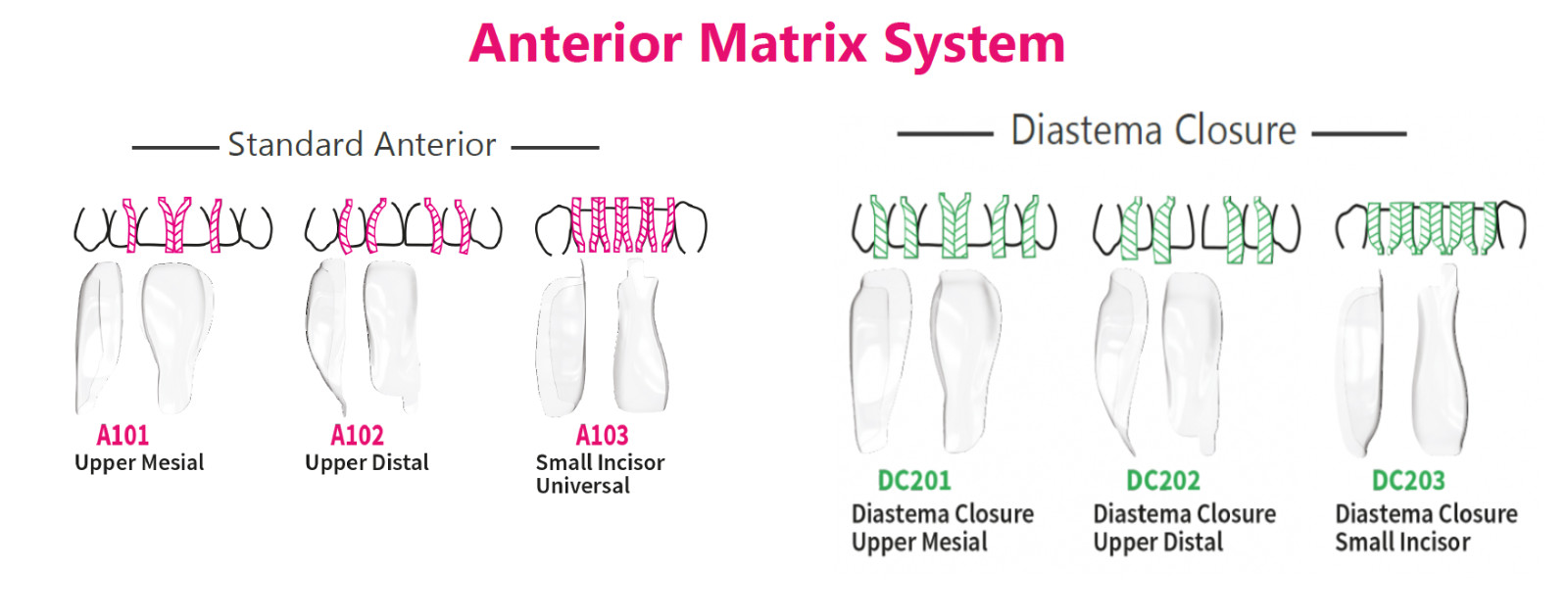 BioClear Anterior Matrix Refills Pack of 15 pcs (Free Shipping)