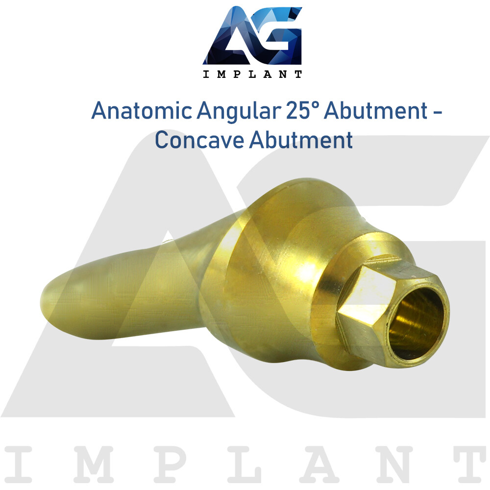 Anatomic Angular Concave Abtment 25° Titanium Int Hex 2.42