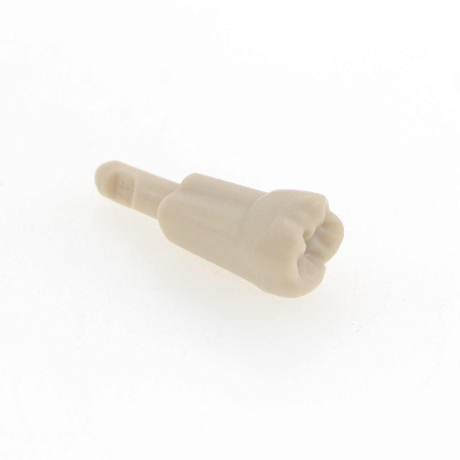 32Pcs Dental Tooth Model for KaVo Basic Model Teeth Retention Mechanism