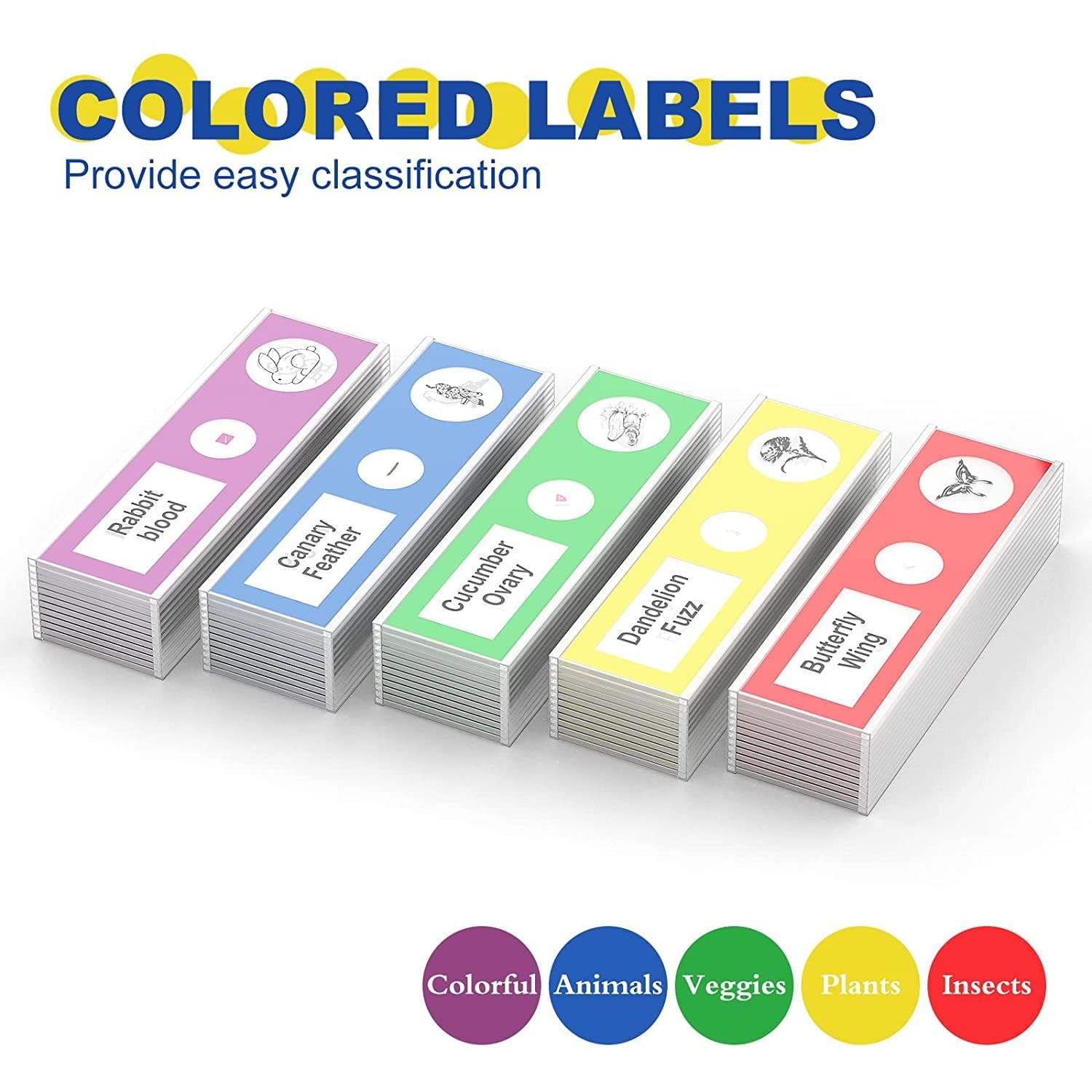 Jiusion 60Pcs Prepared Microscope Slides 60Pcs, Blue,Green,Red,Yellow,Purple