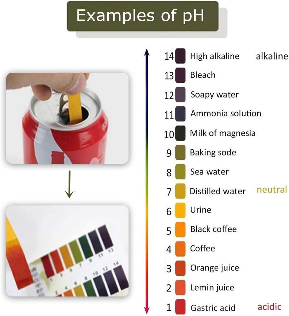 240 Count pH Strips Kit – 1-14 Range for Saliva, Urine, and Water