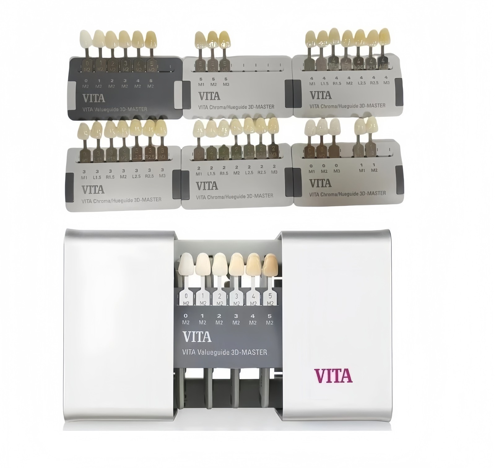 VITA Valueguide 3D-Master Linearguide Resin Shade Guide 32 Colors Teeth Whiteng