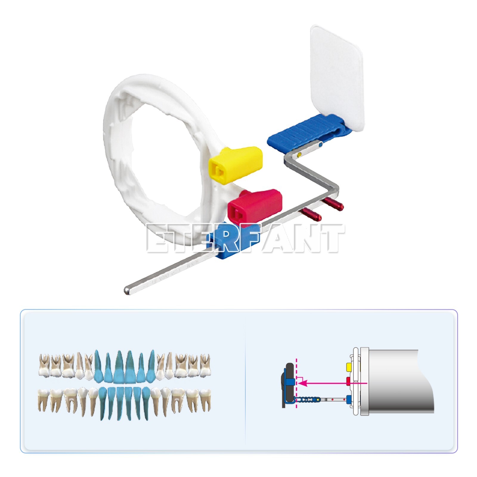 2xUniversal Aiming Arm Color Coded Rinn XCP-ORA Style X-Ray Positioning System