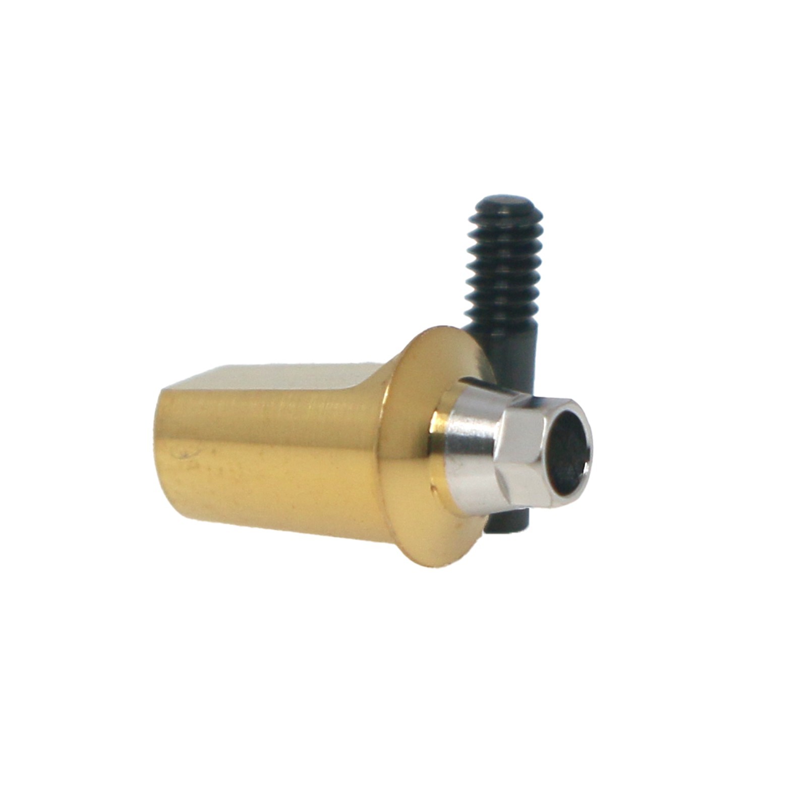 US Dental Straight Transfer & 17° Angled Anatomic Abutment Fit Hiossen/Osstem