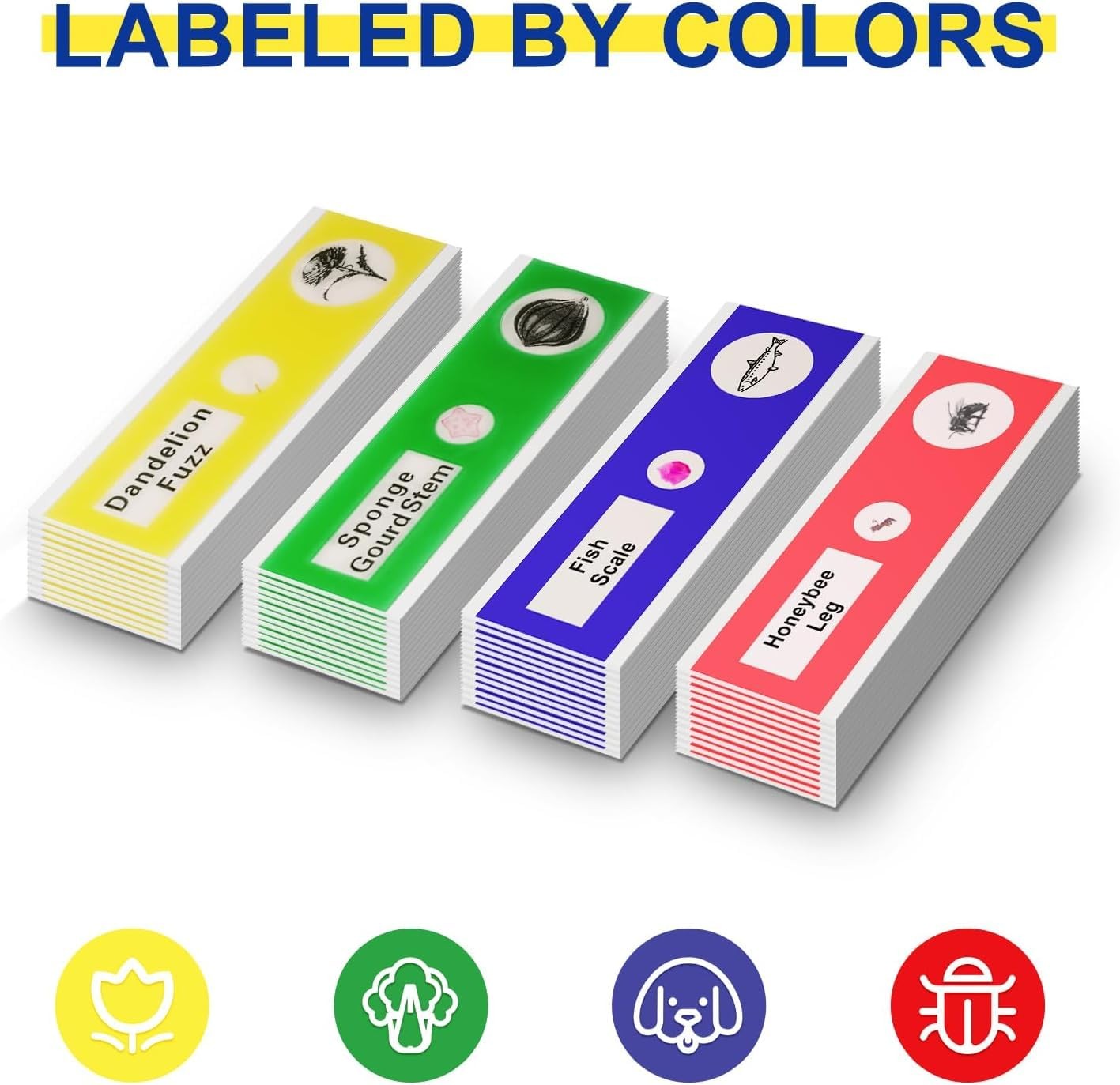 Jiusion 48Pcs Prepared Microscope Slides 48Pcs, Blue,Green,Red,Yellow