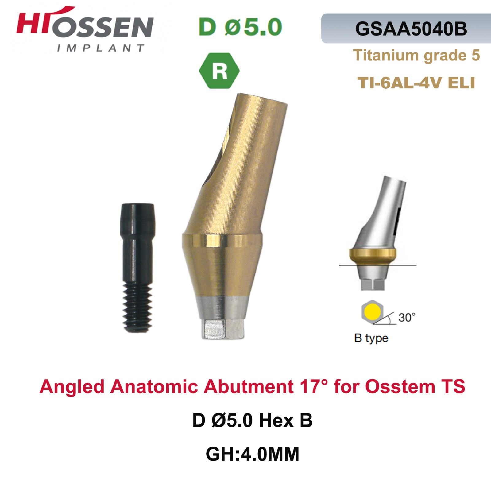 Dental Anatomic Angulated Abutment 17° Osstem TS / Hiossen ET Regular Platform