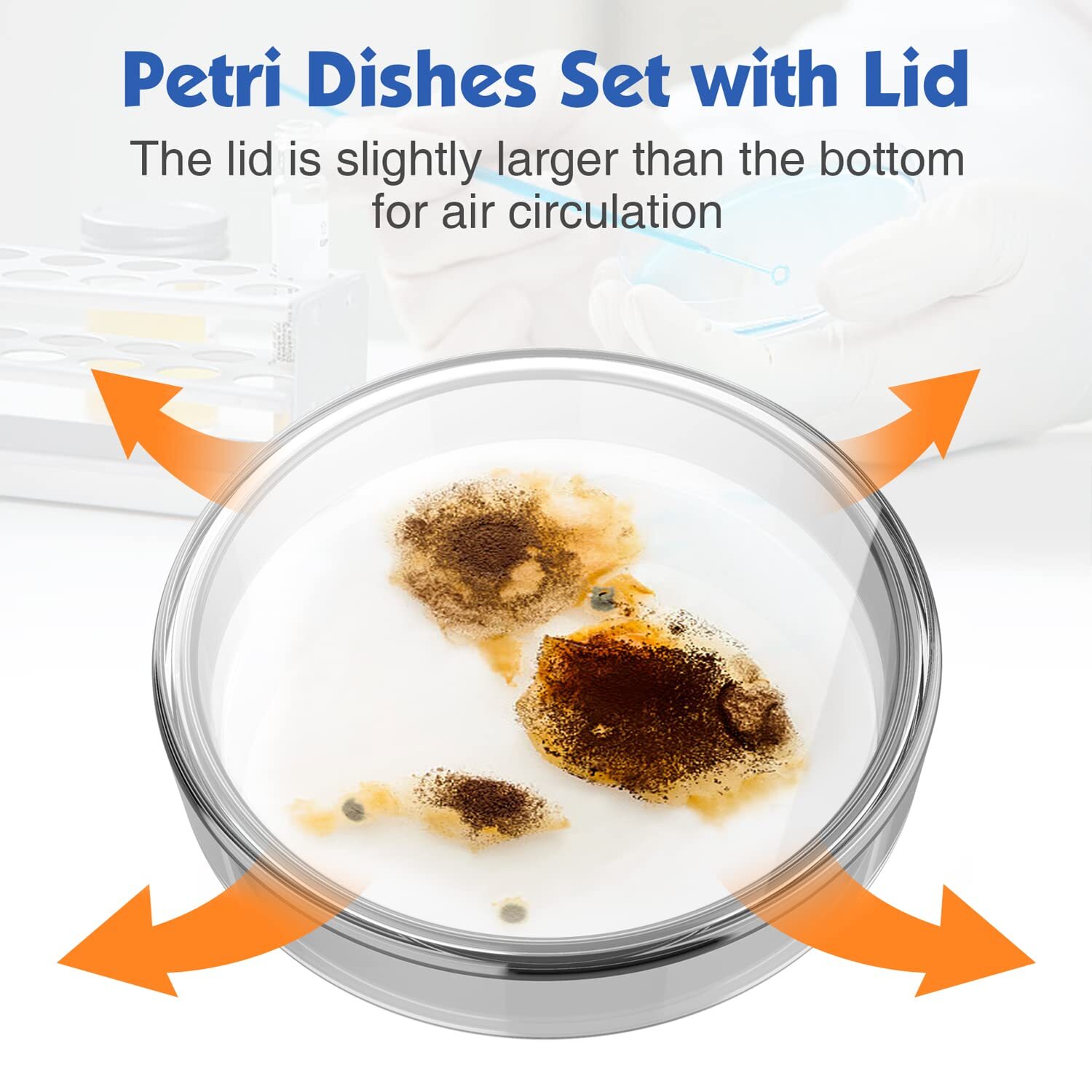 10/50/100x 60mm Glass Petri Dishes w/Lids Autoclavable Lab Petri Plates Reusable