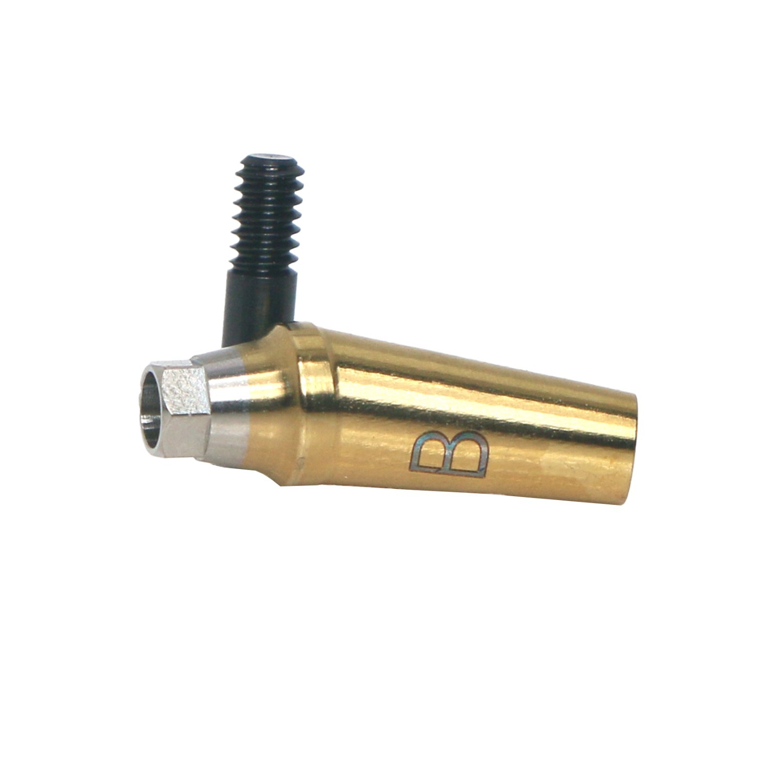 Dental Anatomic Angulated Abutment 17° Osstem TS / Hiossen ET Regular Platform