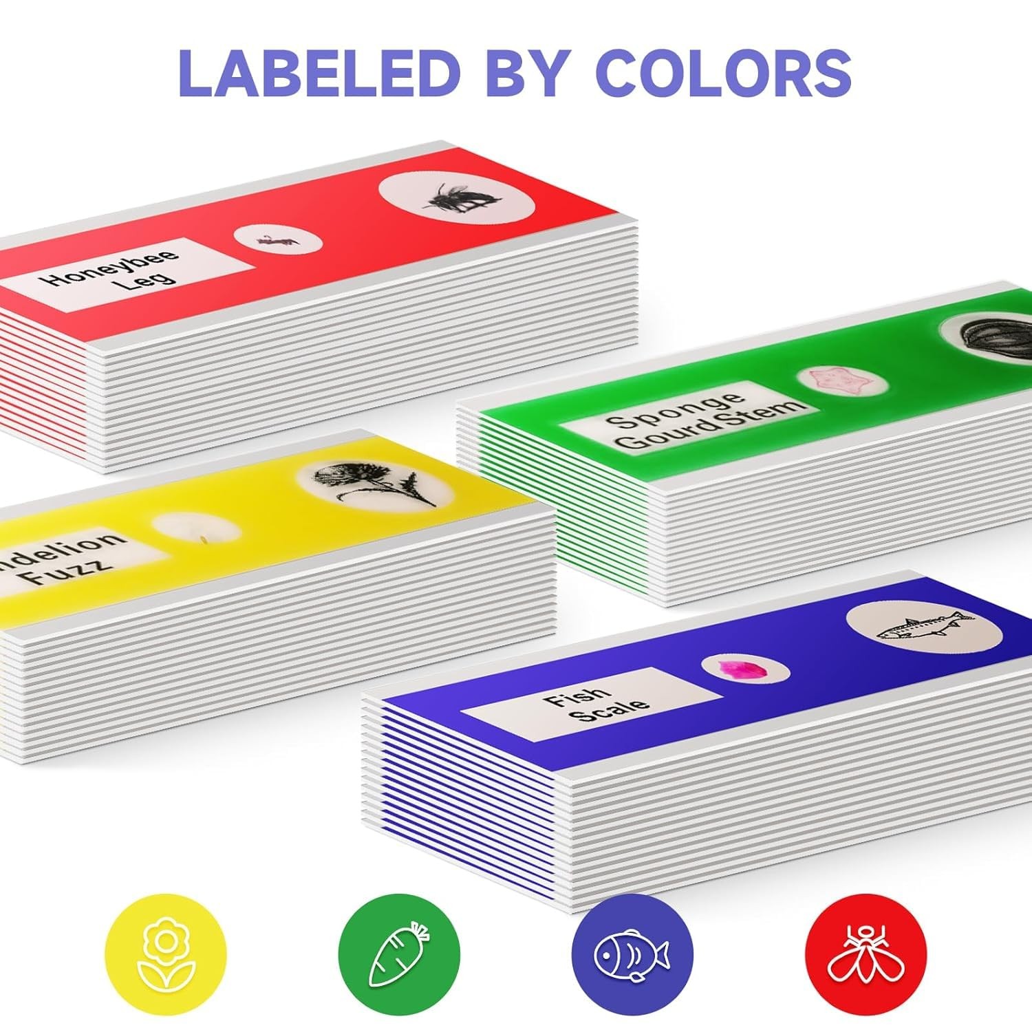 Jiusion 48Pcs Prepared Microscope Slides 48Pcs, Blue,Green,Red,Yellow