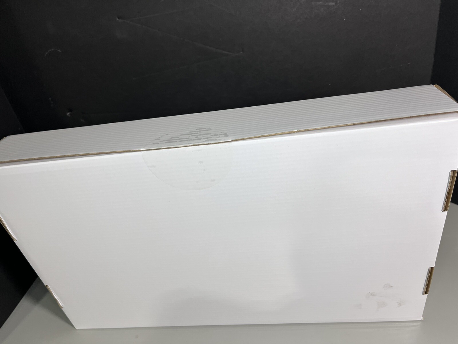 Fluotics Pipette Tips 25 ul Filtered Sterile 20 Racks with 384 Tips Each
