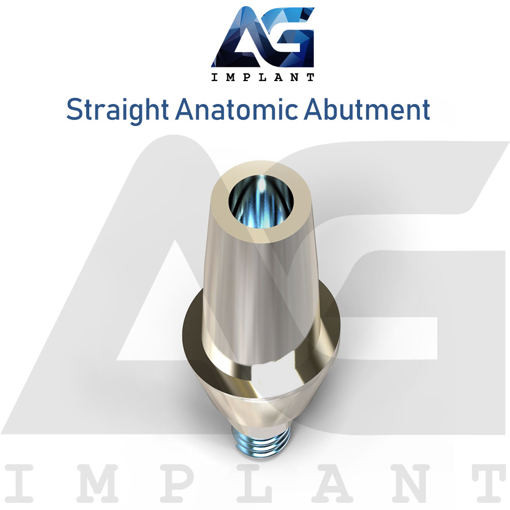 20 Straight Anatomic Aesthetic Titanium For Dental Int Hex 2.42 Connection