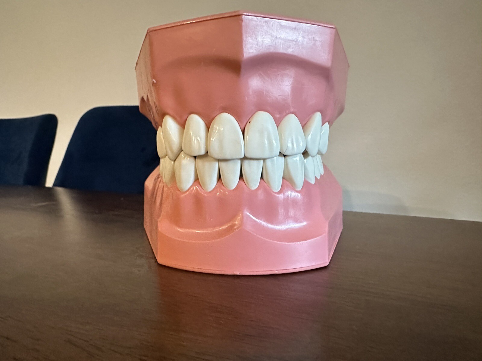 Nissin Kilgore Tooth Brushing Study Model