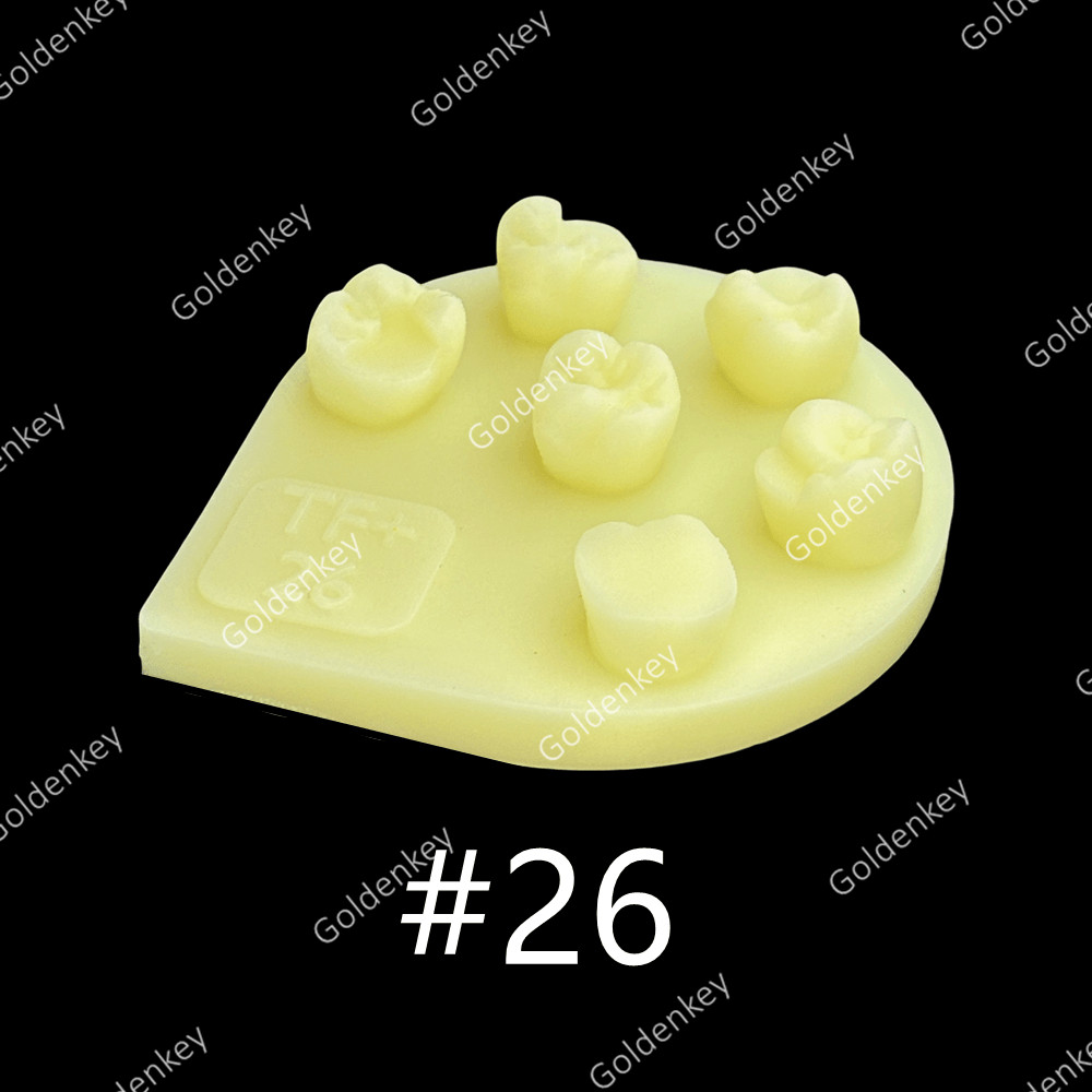 8pcs Dental Tooth Shape Practice Model Molar Resin Composites Filling US STOCK