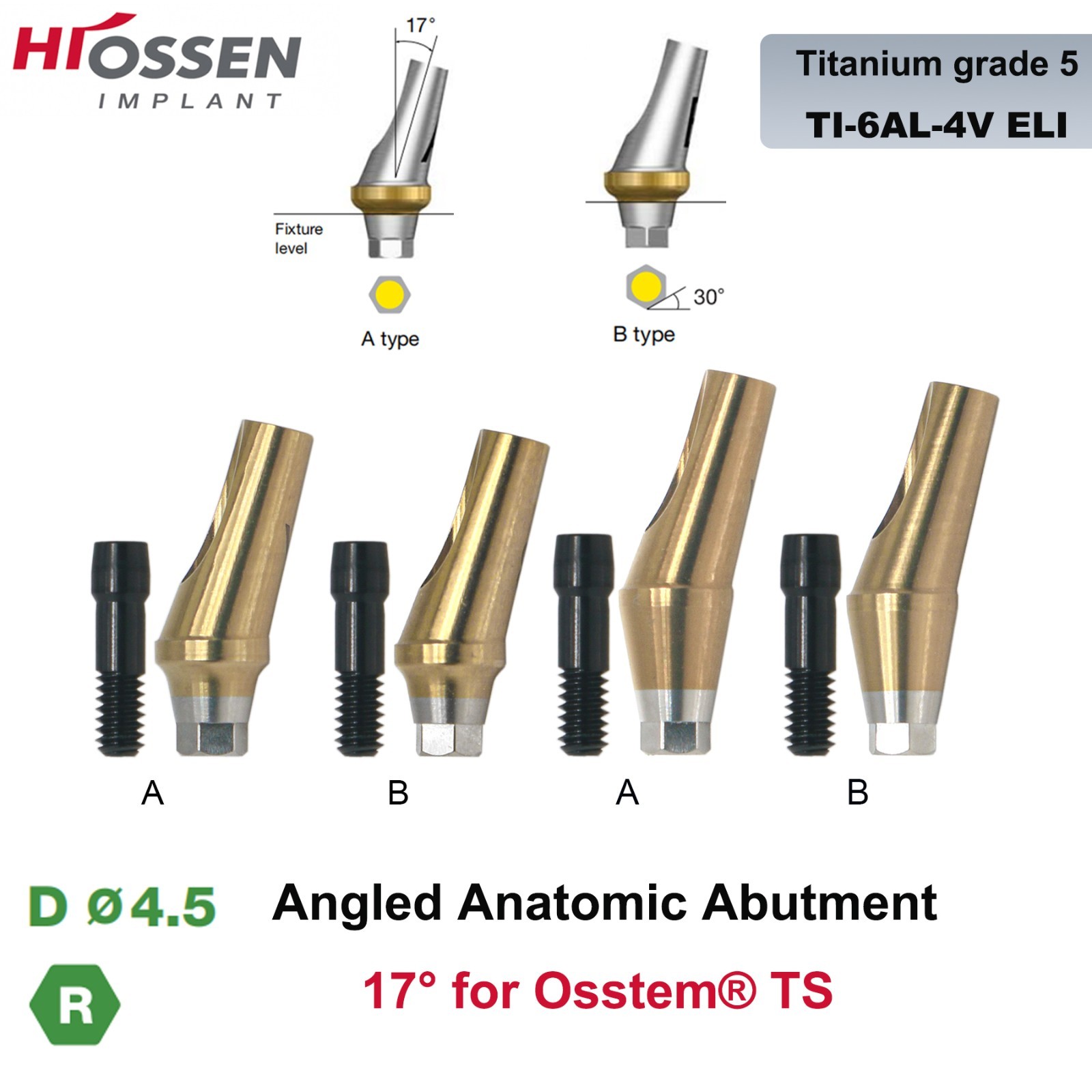 Dental Anatomic Angulated Abutment 17° Osstem TS / Hiossen ET Regular Platform