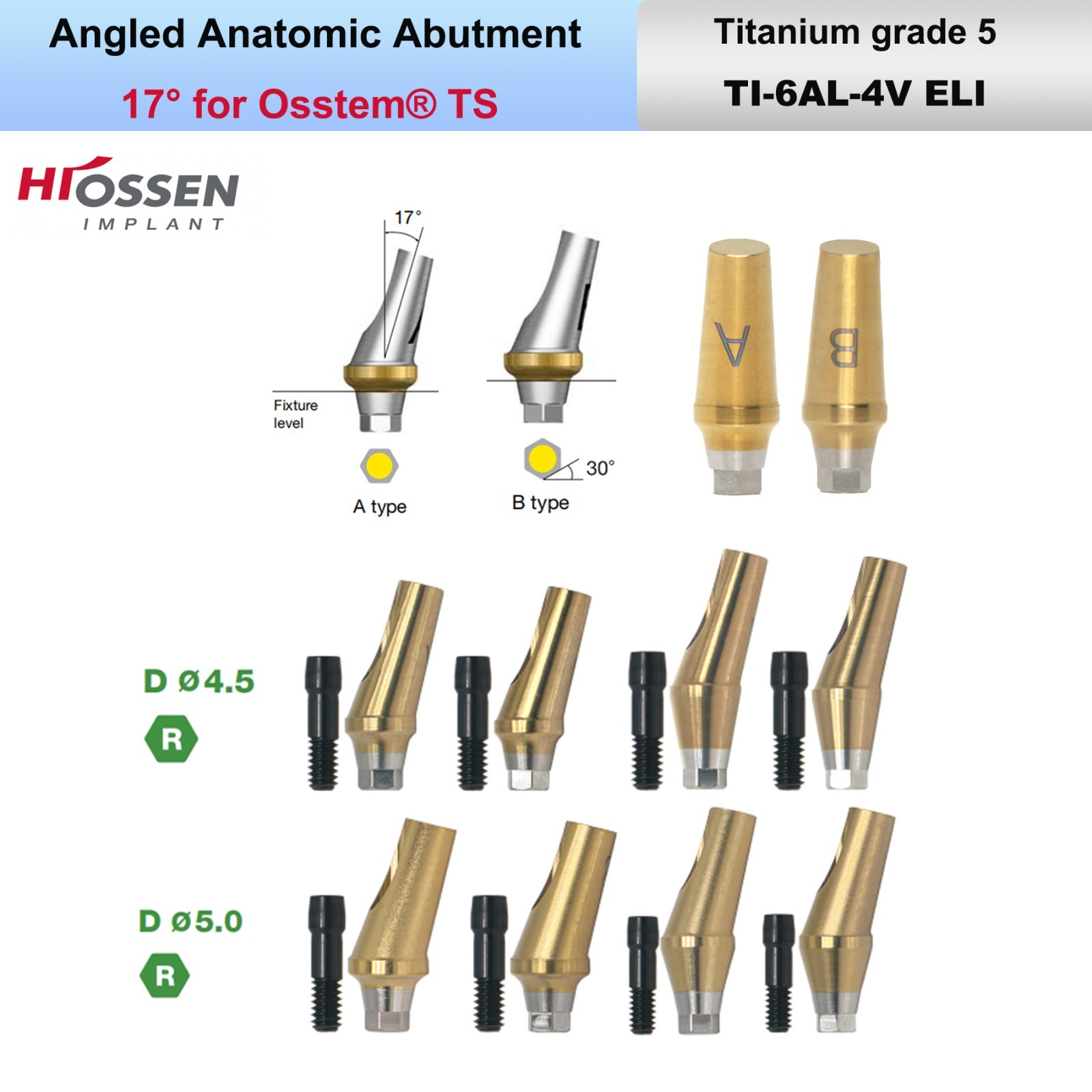 US Dental Straight Transfer & 17° Angled Anatomic Abutment Fit Hiossen/Osstem