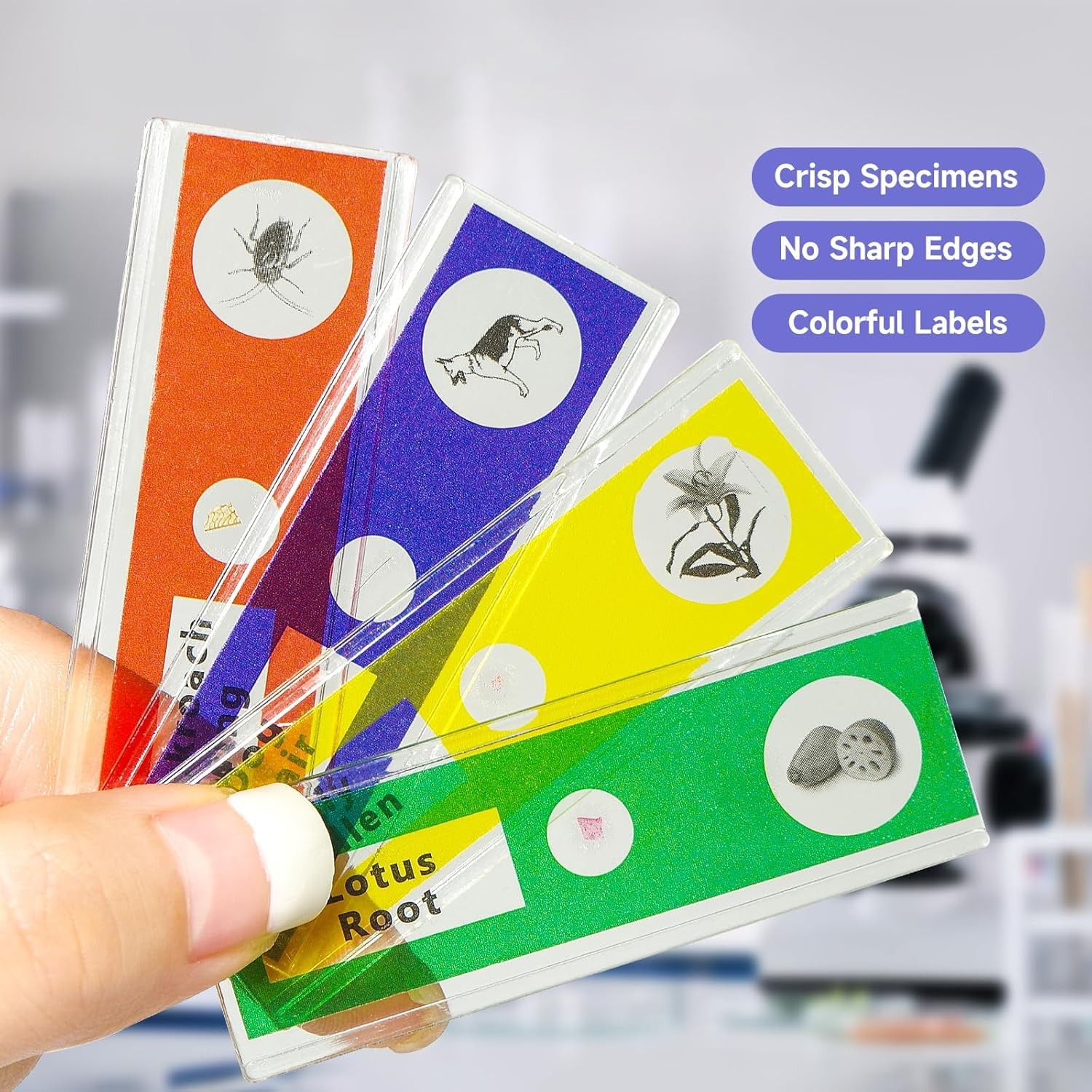 Jiusion 48Pcs Prepared Microscope Slides 48Pcs, Blue,Green,Red,Yellow