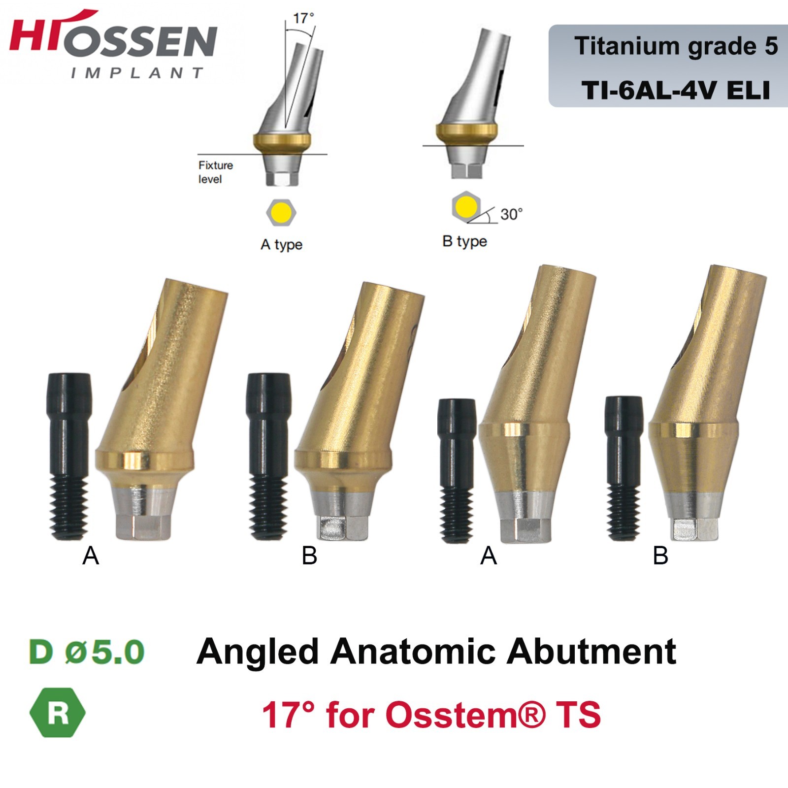 Dental Anatomic Angulated Abutment 17° Osstem TS / Hiossen ET Regular Platform