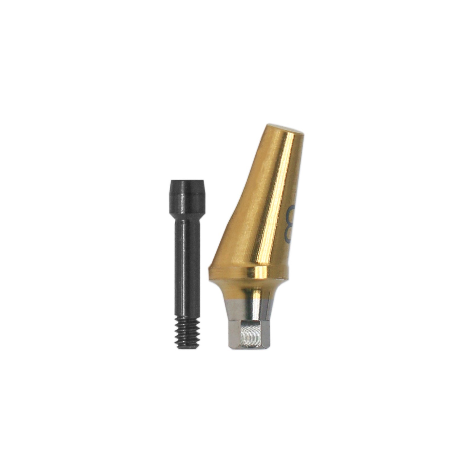 17° Angled Abutment Mini Hex A/B Type for Hiossen Osstem TS Mini Titanium Dental