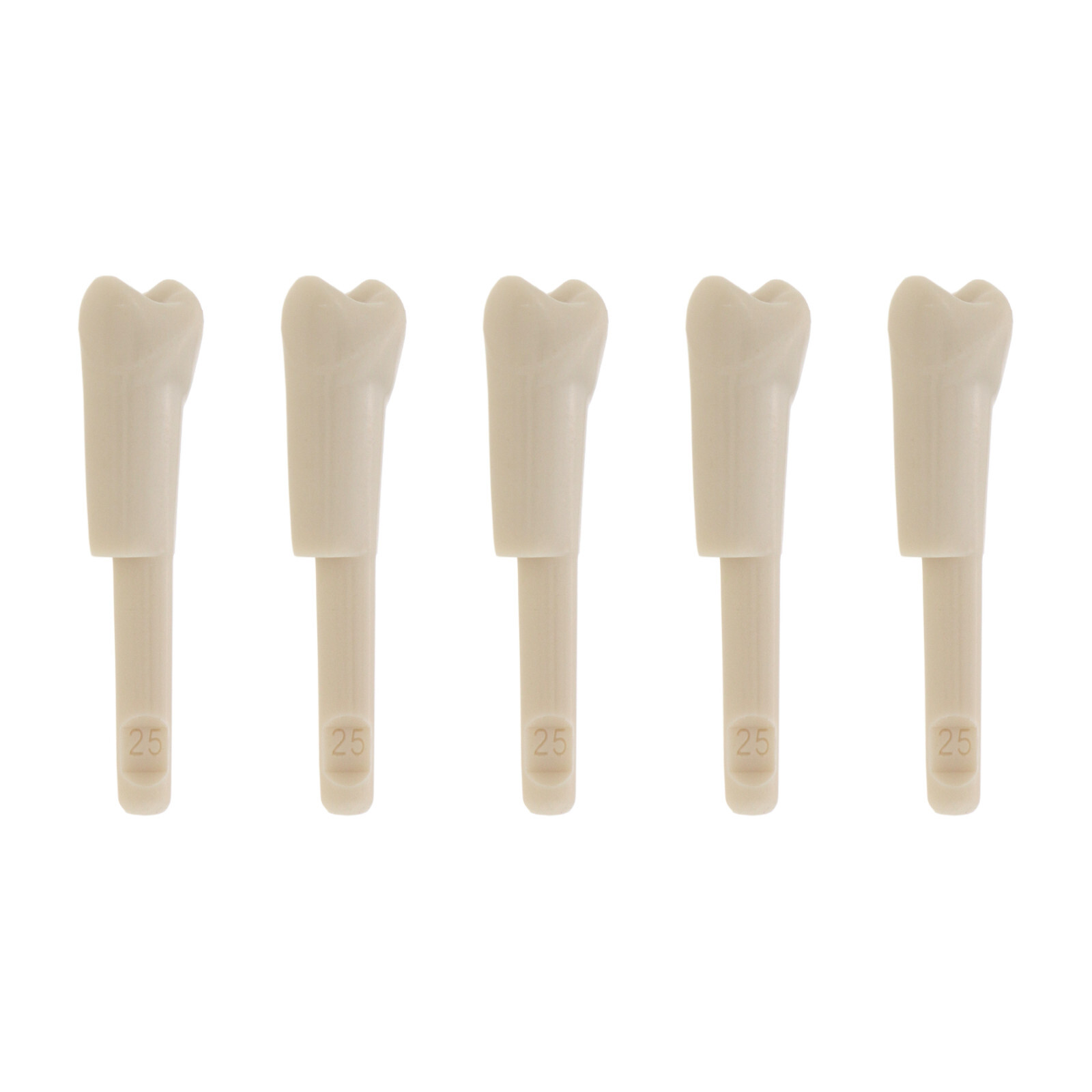 32Pcs Dental Tooth Model for KaVo Basic Model Teeth Retention Mechanism