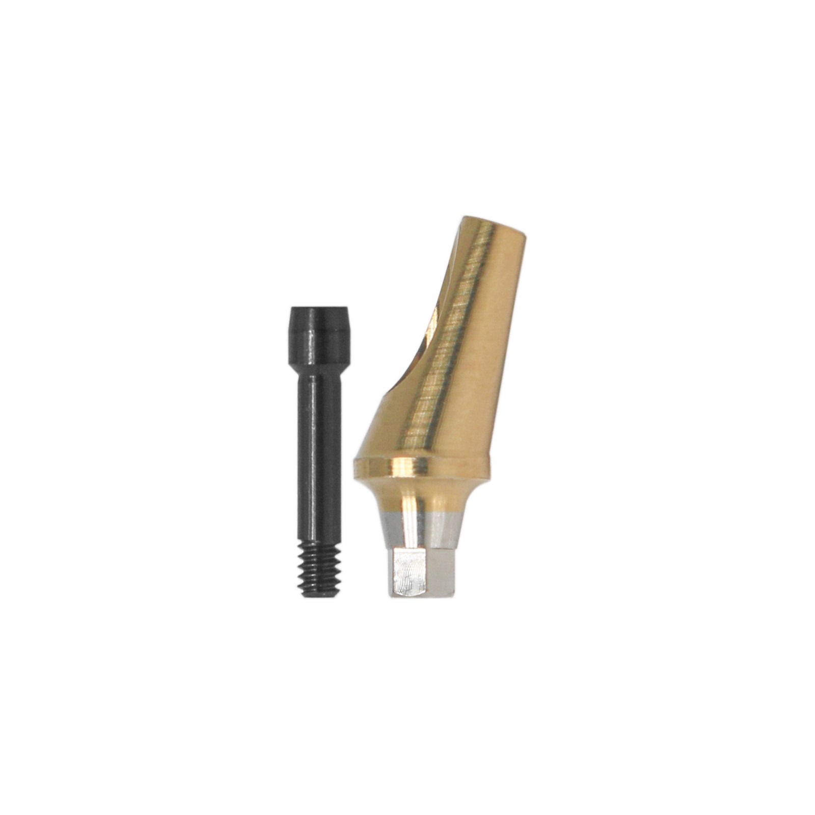 17° Angled Abutment Mini Hex A/B Type for Hiossen Osstem TS Mini Titanium Dental