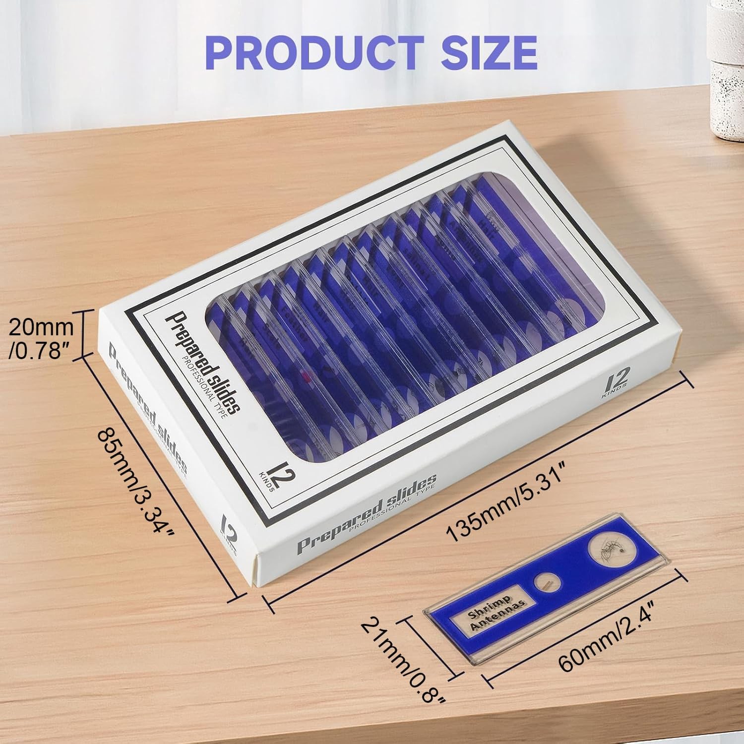 Jiusion 48Pcs Prepared Microscope Slides 48Pcs, Blue,Green,Red,Yellow