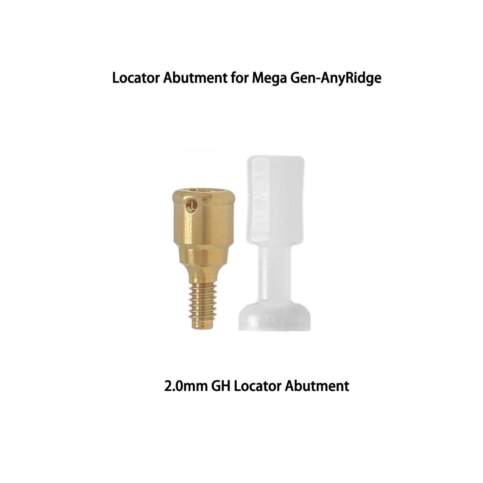 Overdenture Locator Abutments Anchor for Megagen AnyRidge Male Caps Removable