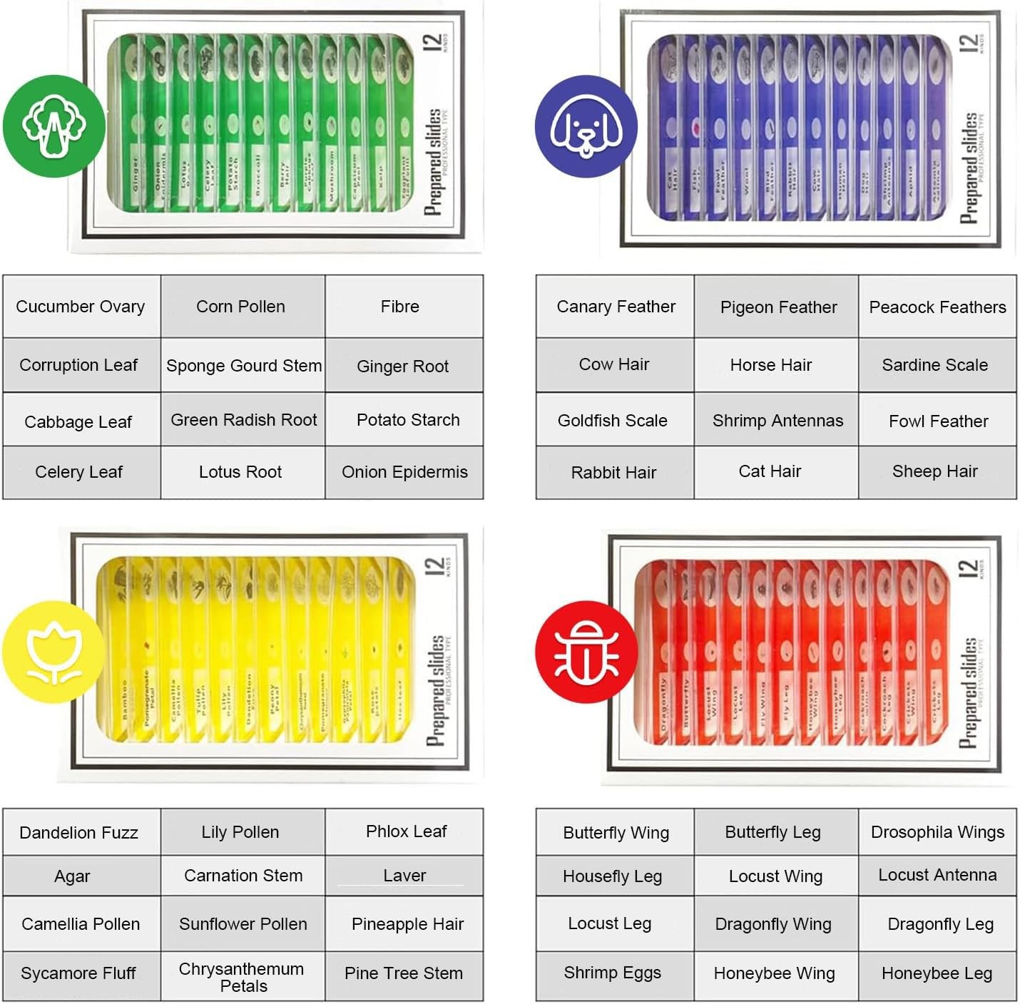Jiusion 48Pcs Prepared Microscope Slides 48Pcs, Blue,Green,Red,Yellow