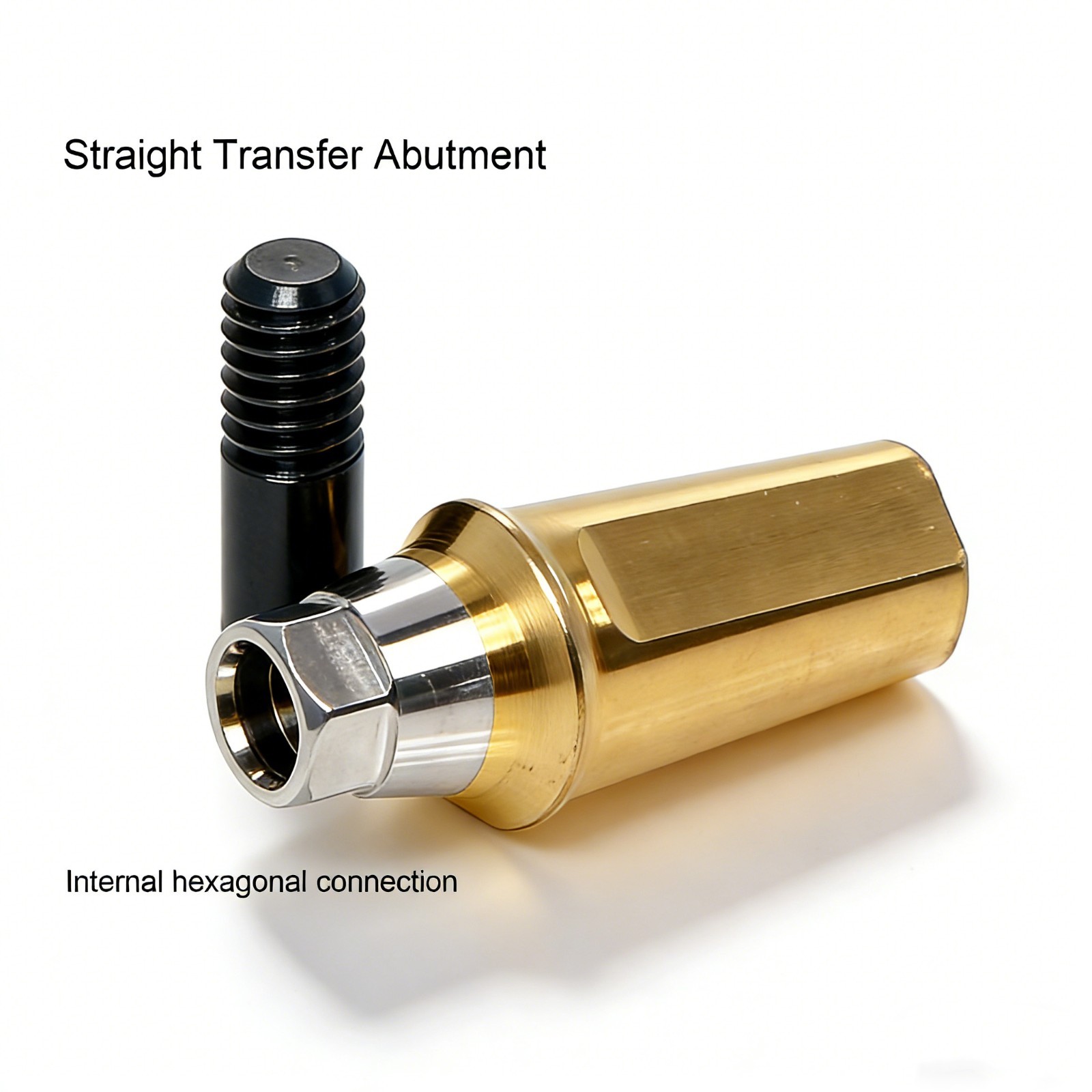 Hiossen ET/TS Dental Titanium Hex Cemented Straight Abutment Mini/Regular Plat