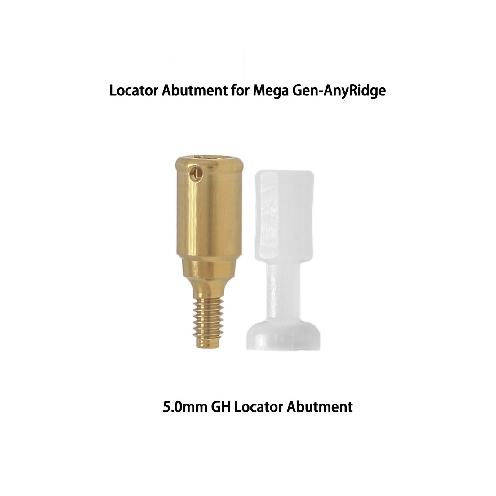 Overdenture Locator Abutments Anchor for Megagen AnyRidge Male Caps Removable