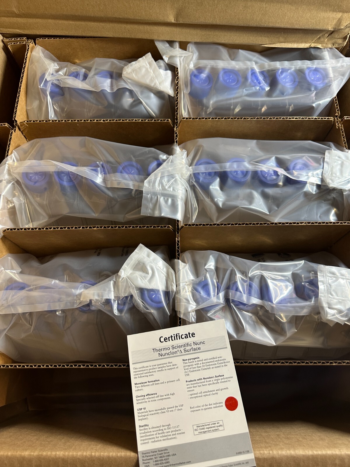 Thermo Scientific REF #159934 EasY Flask 225 cm2 Angled Neck Case of 30 NIB