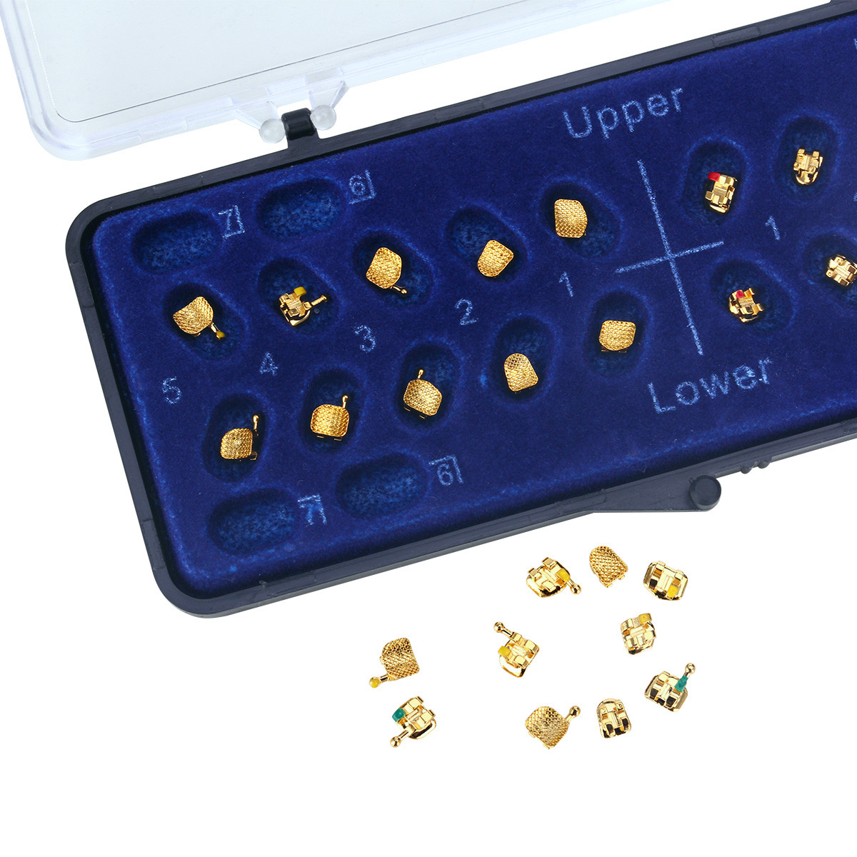 Dental Orthodontic 24K Golden Plated Metal Brackets Mini Roth 022″ 3-4-5 Hooks