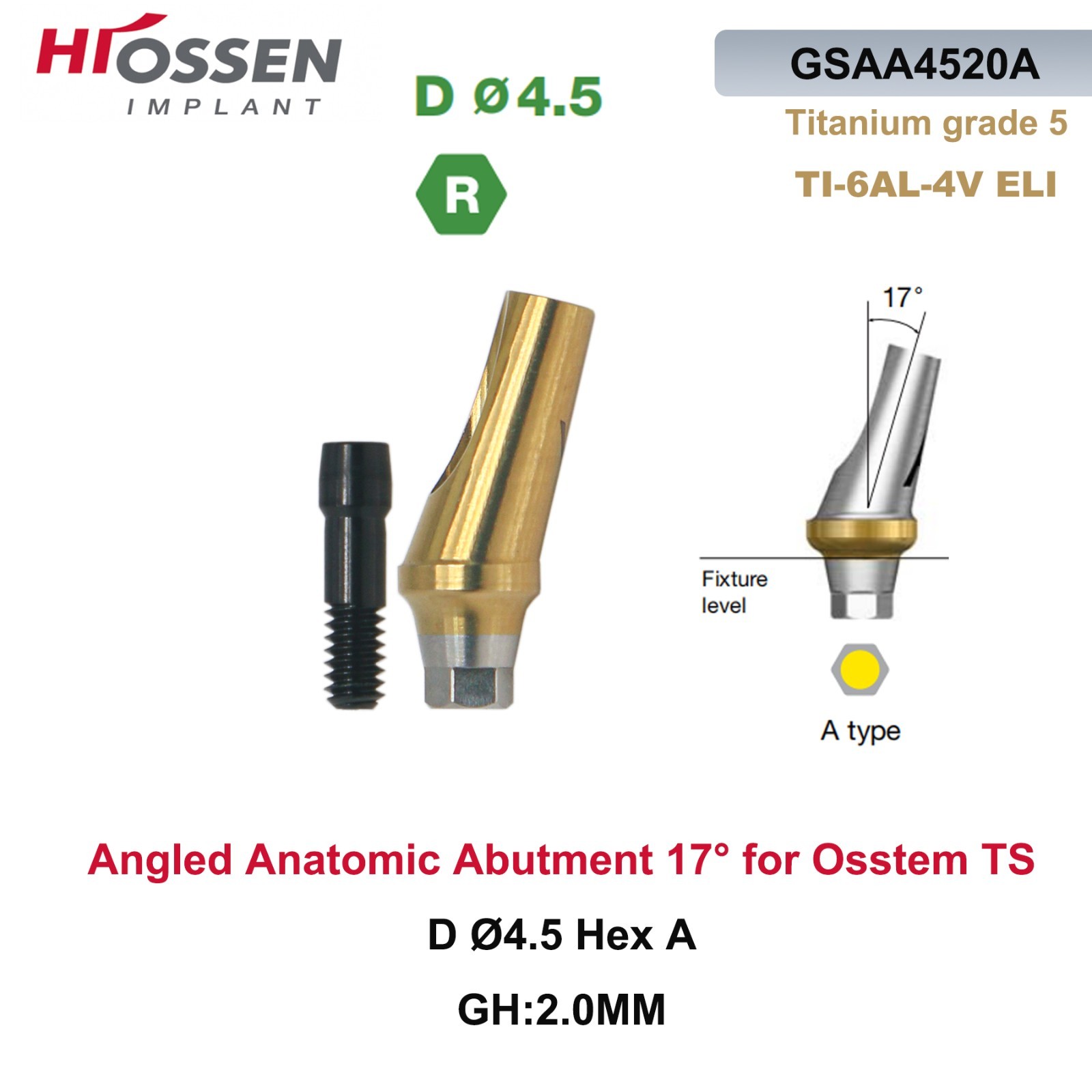 Dental Anatomic Angulated Abutment 17° Osstem TS / Hiossen ET Regular Platform