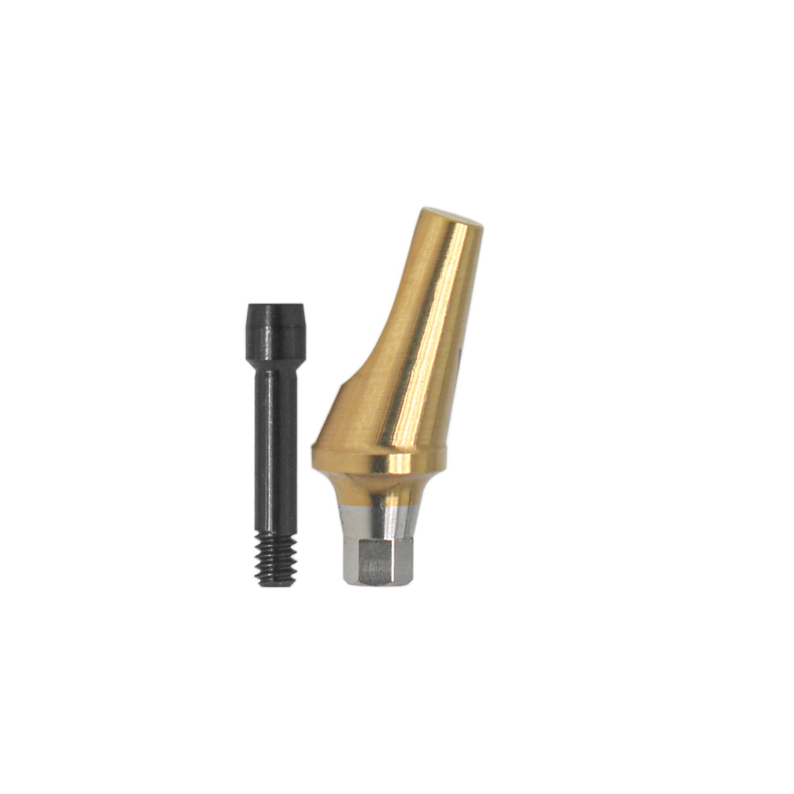 US 17° Angulated Abutment Mini Hex for Osstem TS Mini NP Platform Titanium Screw