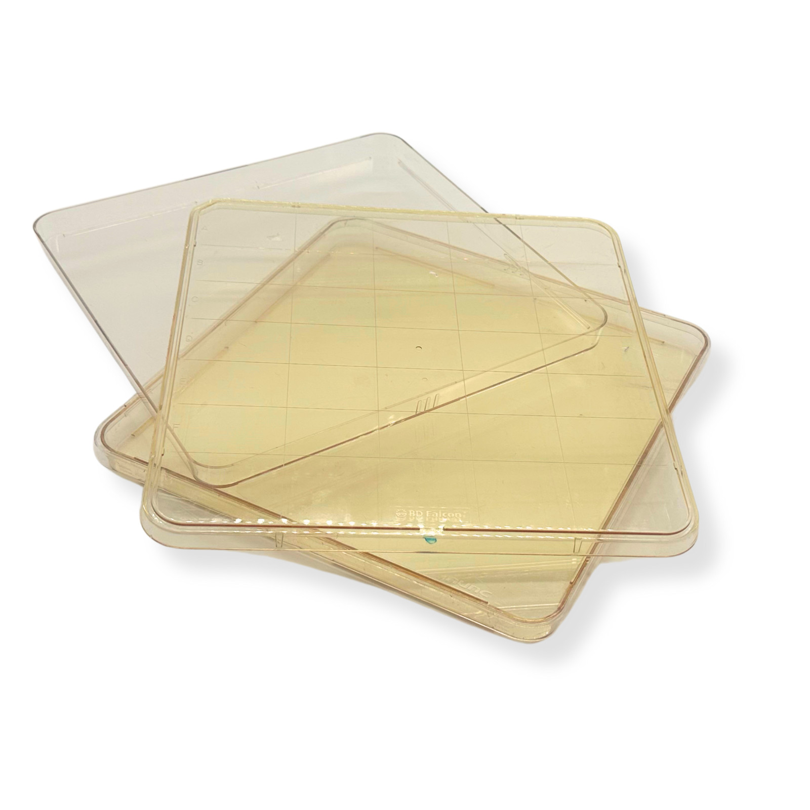 5pk Square BioAssay Dishes 241x20mm w/ Lids, Gridded, Clear | BD Falcon & NUNC