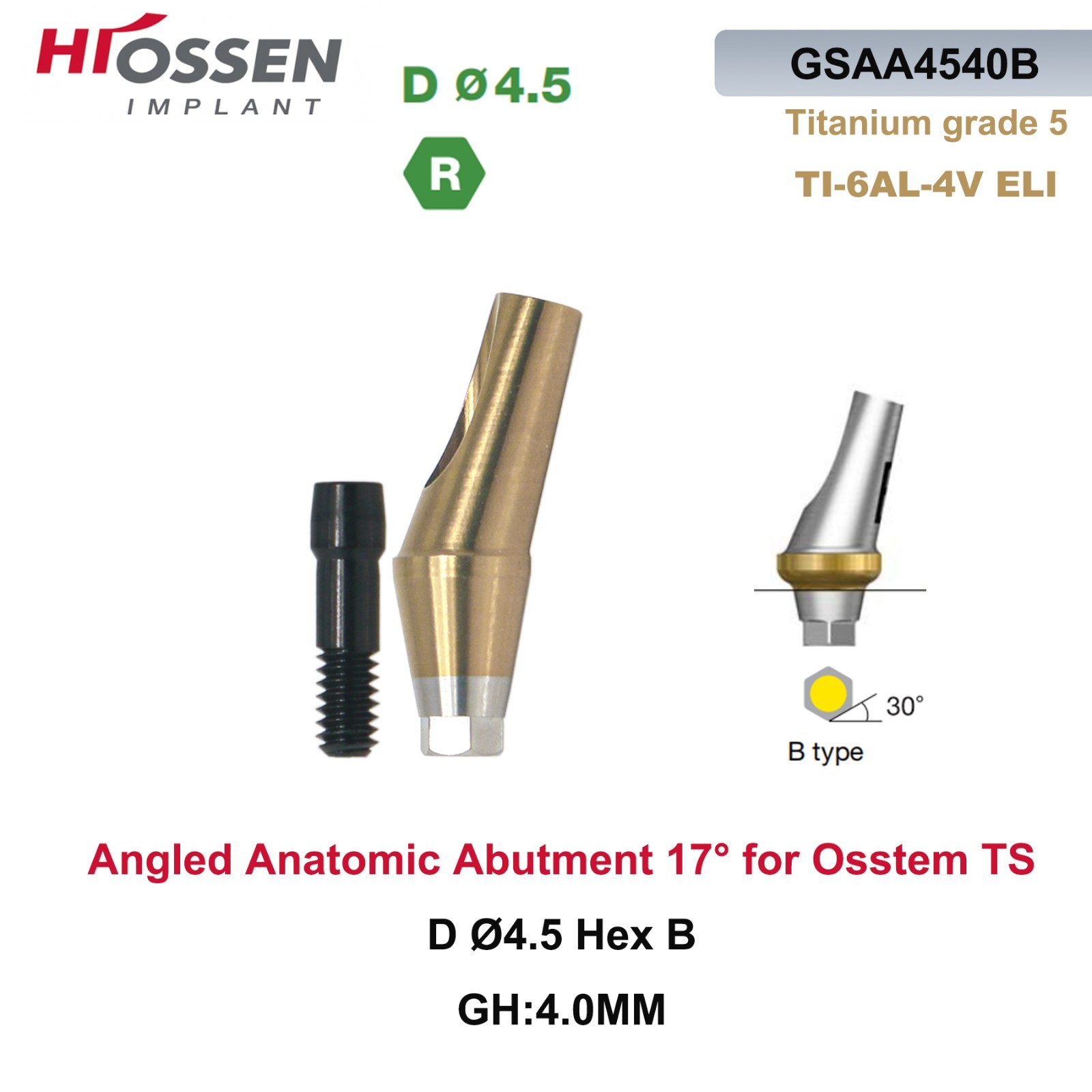 Dental Anatomic Angulated Abutment 17° Osstem TS / Hiossen ET Regular Platform