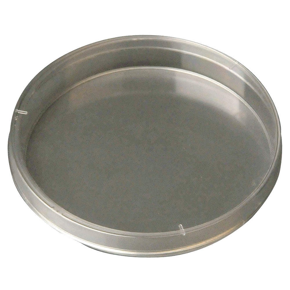 GRAINGER APPROVED 49X570 Petri Dish,60 x 15 mm,PK500 49X570