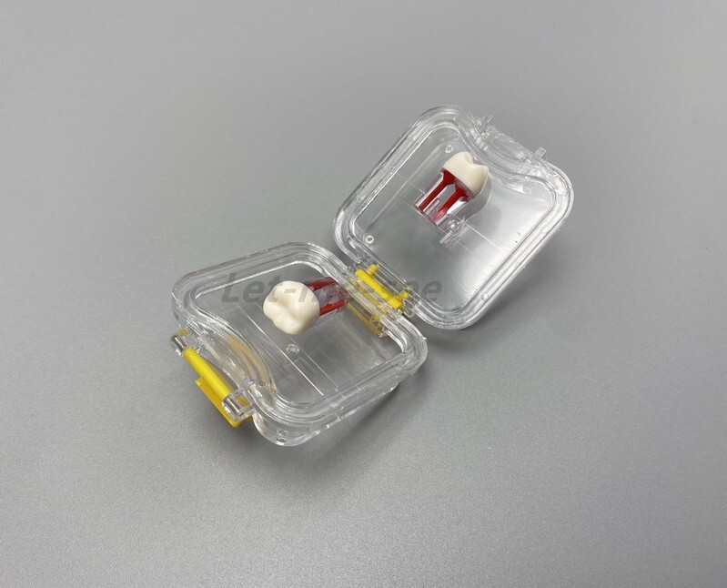 20x Dental Box Hinged Display Boxes Display Clear Membrane Case 45*45*25mm/small