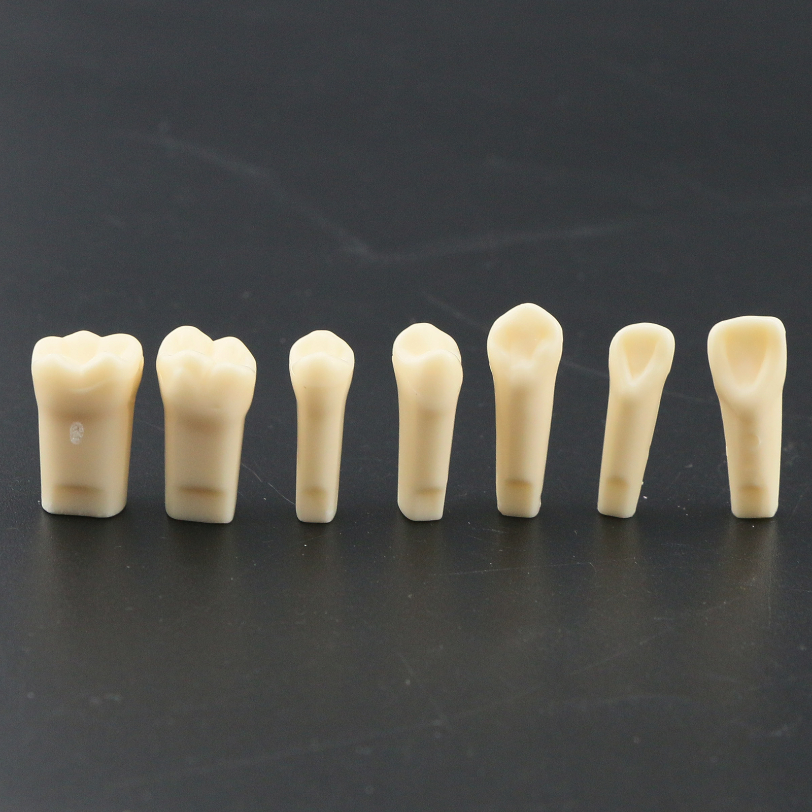 US Dental Replacement Typodont Teeth Set of 28 Teeth for Kilgore Nissin 200