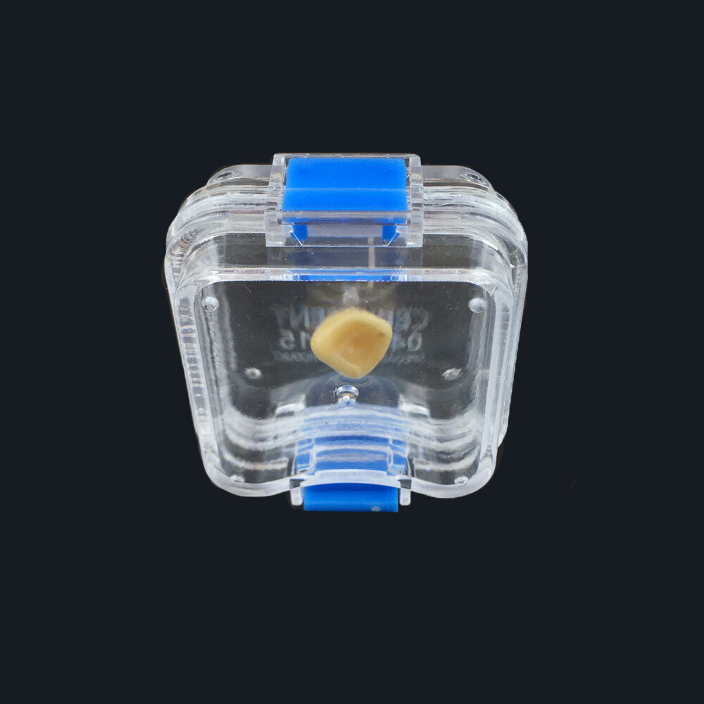 20pcs Denture Plastic Membrane Box Storage Case with Film Dental Teeth Box