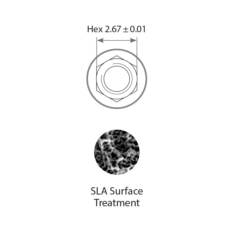 20x Dental SLA Spiral Fixture Conical Connection RP Active Hex Titanium Ø4.3-5mm