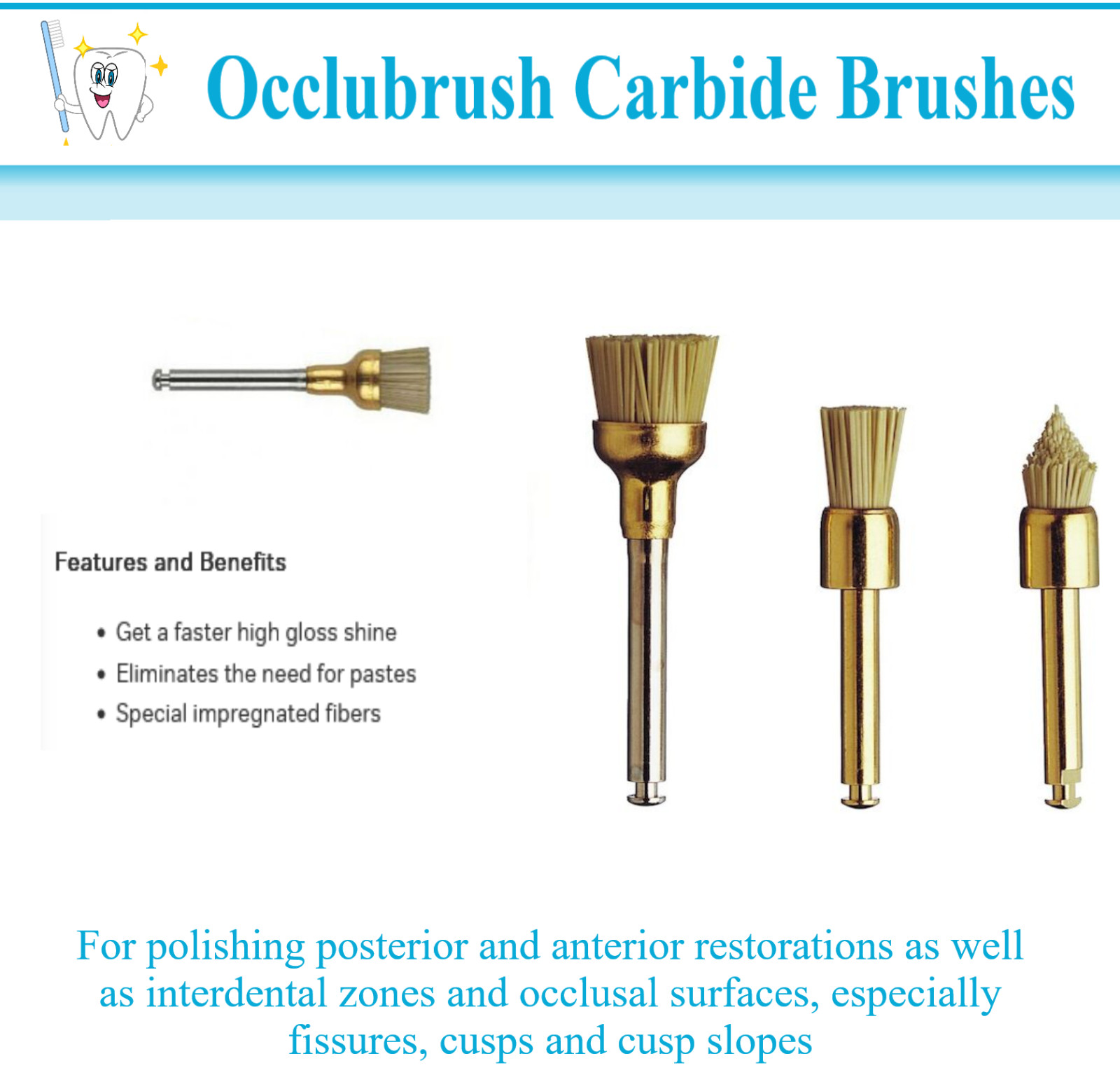 Dental Brush Polisher Interspersed Wit Silicon Carbide Occlubrush RA Regular Cup