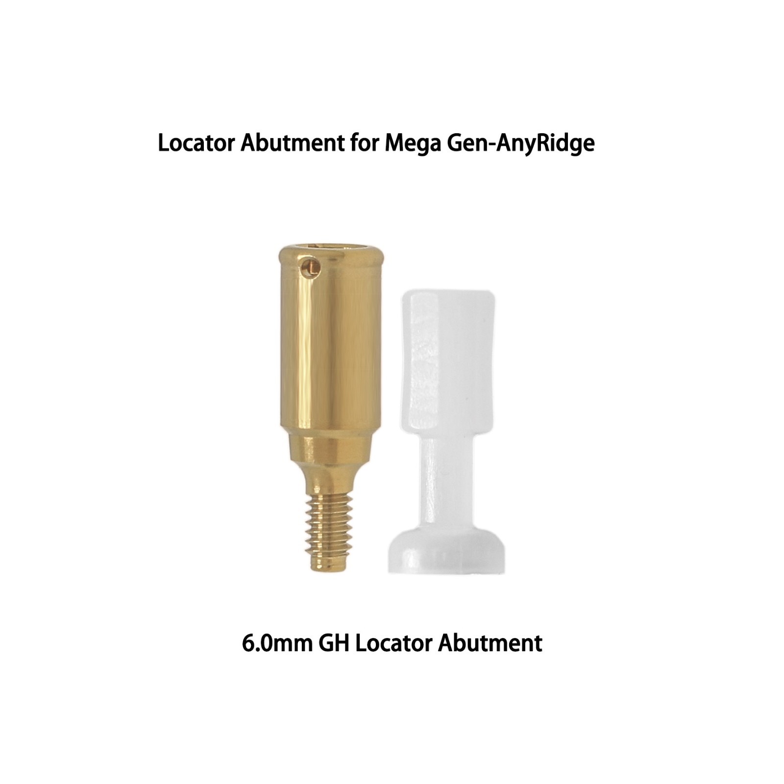 Overdenture Locator Abutments Anchor for Megagen AnyRidge Male Caps Removable