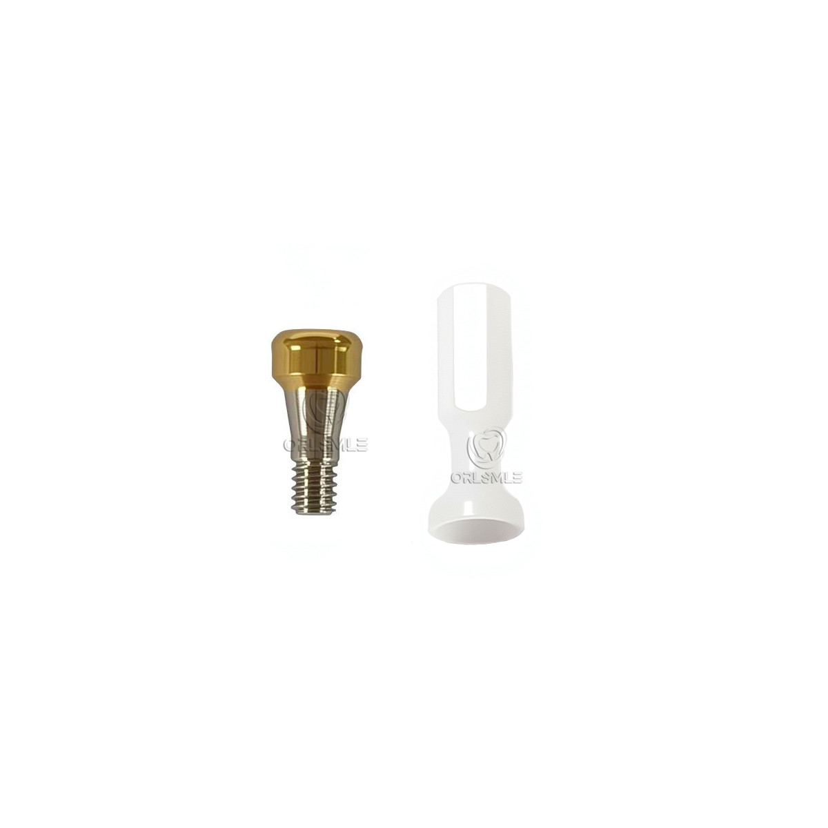 Locator abutment only abutment fit to SNUCONE platform GH1-6 Mini Regular