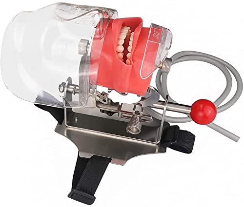 2 type Detachable Dental Simulator Phantom Head Model Dentist Teaching Practice
